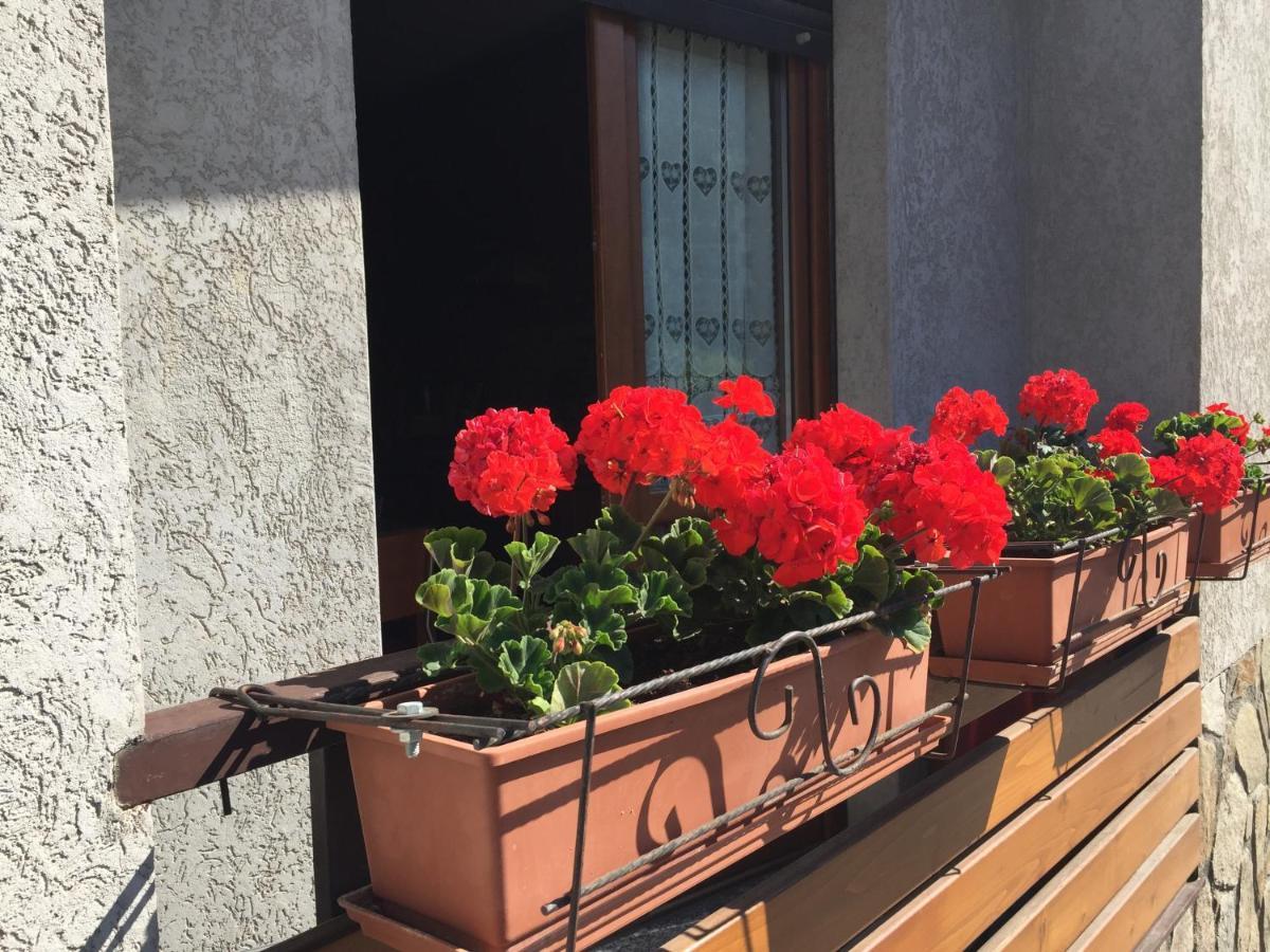 Residenza In Zona Pontedilegno T02034 Villa Villa d'Allegno Екстериор снимка
